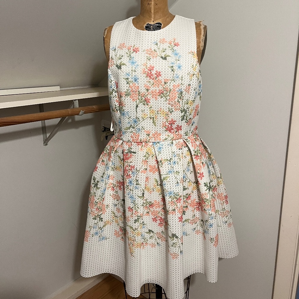 ERIN by Erin Fetherston Somerset Fit Flare Floral Dress